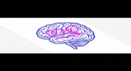 Personality Test: Who Are You When Facing Negative Emotions?