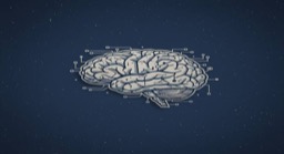What Is Confirmation Bias? Why Is Gen Z So Vulnerable in the Digital Age?